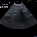 청라호수동물메디컬센터 이미지