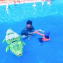 옥화자연휴양림 국민여가오토캠핑장 이미지