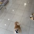 담아놓다