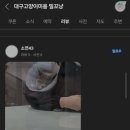 대구 고양이 미용 밀꼬냥 이미지