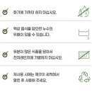 그린수입품 이미지