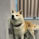 큐이디 골프 이미지