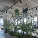 플레이토브 네이버블로그