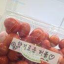 (주)토마토세븐