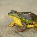 즐거운 농장 이미지