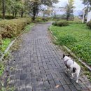 한들방죽공원 이미지