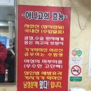 왔다산아나고 이미지