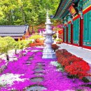 금강사 입구 이미지