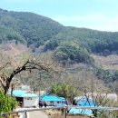 명호관점 이미지