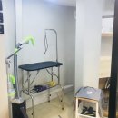 그루머웅 이미지