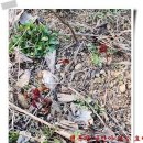 효세농장 이미지