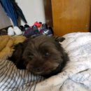 광영동 가야아파트 이미지