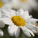 24시서울감자탕병천순대 이미지