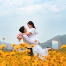 동해바다 | 강원도 동해 웨딩스냅 후기 : 어대노 바다빛 웨딩로드