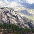 초원 숲속 야영장 이미지