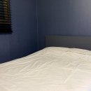 아이비303 이미지