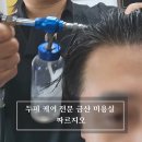 짜르지오 이미지