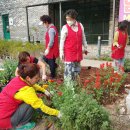 텃밭협동조합 이미지