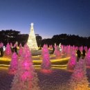 간절곶 공원 이미지