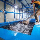 조부장바다낚시터 이미지