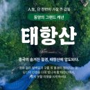 차여행사㈜ 이미지