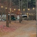 콸 | 서울근교 글램핑｜가평 리틀포레스트 캠핑장 겨울 글램핑 후기(크리스마스 감성 뿜뿜🎄)