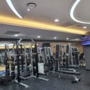 강남스포렉스 이미지