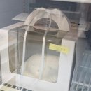 케이크바이케이크 | 춘천 레터링 케이크 맛집 바이케이크 후기 | 춘천화이트데이선물추천