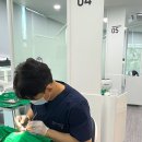 개금현대약국 | 사랑니 통증 - 타이레놀을 먹으면 해결될까요? &lt; 현직 치과의사가 알려드립니다 &gt;