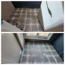 크린오포 이미지