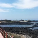 제주 올레길 15코스 B 이미지