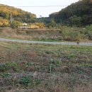 하나 숲 관광농원 이미지