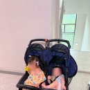 11260-1-18-37 | [연년생 육아템] 37개월 &amp; 18개월 외출 필수품, 쌍둥이 유모차 솔직 후기!