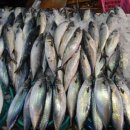 달전상회 이미지