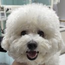 동물사랑세상 의료센터 이미지