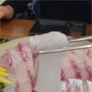 제주초장횟집