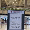 김포 - 상하이(홍차오) I 상하이 항공 FM824 I 중국 무비자 입국 I 김포공항 면세점 인도장 면세품 픽업...
