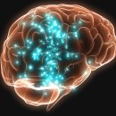 옐로우짐(이곡점) 이미지