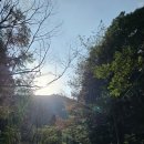 호3통 | 1박2일 대마도 패키지 여행 후기 1일차