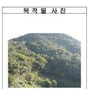 강서구-77 이미지