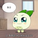 금미화장품 | 개강