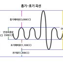 대한음성교정협회 이미지
