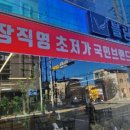 블링옵티컬