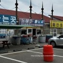 양양 바다낚시 강원도 양양 참가자미 배낚시 체험 동해호 내돈내산