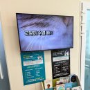 배방동물병원 이미지