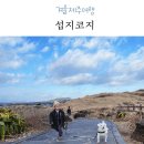 용주면_성산리(배출하우스)_2 | 겨울제주여행 제주유채꽃, 섭지코지