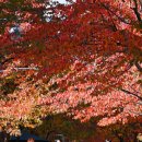 가을 - 성북구 | 가을