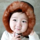 설우형 카카오 검색결과