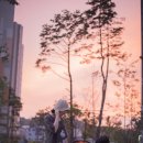 마이쏭 네이버블로그