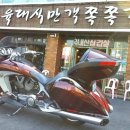 비젼투어(주) 이미지